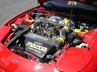 DSCN3686