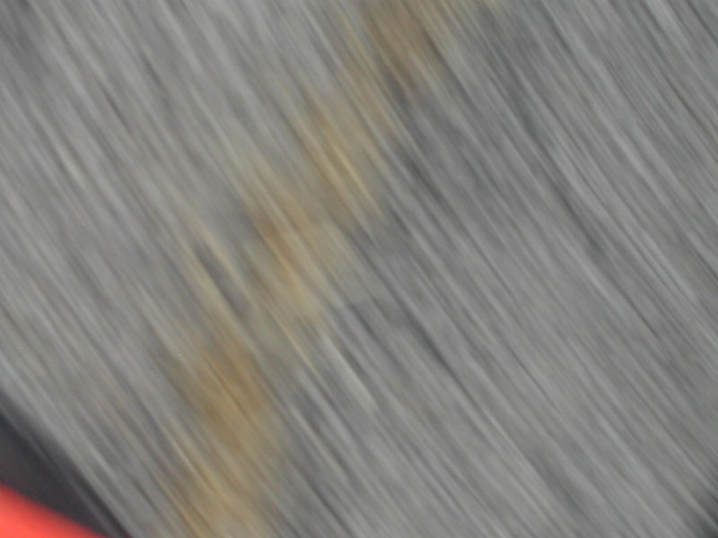 DSCN6384