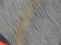 DSCN6384